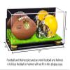 Better Display Cases Acrylic Mini - Miniature (not Full Size) Football and Helmet Display Case with Mirror, Wall Mount, Yellow Risers and Turf Base (B46/A019) view 2