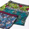 Boxer Brief Multipacks with T-Rex, Raptor and Triceratops Print Options in Sizes 4, 6, 8, 10 & 12 view 2