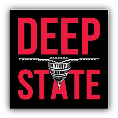 Deep State Vinyl Sticker Car Bumper Decal