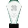 11" Jade Shrine Thank You with Band Aid Crystal Award, Custom Engraved Thank You with Band Aid Trophy, Engraving Included Prime view 1