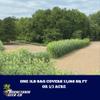 Boonetown Seed Company Plot Blocker, Egyptian Wheat Seed, Deer Food Plot Screen, 13,068 sq ft or 1/3 Acre Coverage. Provides Thick, and Tall Cover for Deer - Creates Screens, and Boundaries, 3LB Bag view 3