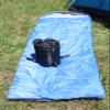 Nyx Camping Compact Lightweight Sleeping Bag view 1