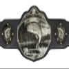 Undisputed Belts Fishing Championship Belt Trophy - Black - Large view 2