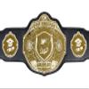 Undisputed Belts Graduation Championship Belt Trophy view 1