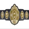 Undisputed Belts Graduation Championship Belt Trophy view 3