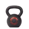 AGYH Kettlebells Black Cast Iron Kettlebell, Home Gym Fitness Equipment, Professional Strength Training, 4kg/6kg/8kg/10kg/12kg/20kg/24kg (Size : 4kg/8.8lb) view 1