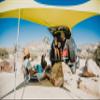 Neso Sidelines Grande Sports Tent - Lightweight and Portable Sun Shelter and Shade Tent for Outdoor Activities - Patented Reinforced Corners - UPF 50+ Sun Protection - 7ft Tall, 11 x 4.5 ft - Lemon view 2