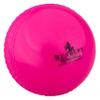 Readers Windball, Pink, Junior view 1