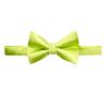 Spring Notion Men's Solid Color Satin Microfiber Bow Tie and Hankerchief Set Lime view 2