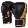 PFG Elite Blackout Boxing Gloves view 2