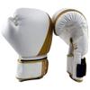 PFG Elite Boxing Gloves view 2