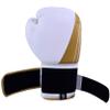 PFG Elite Boxing Gloves view 3