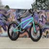 Eastern Bikes Eastern BMX Bikes - Cobra Model Boys and Girls 20 Inch Bike. Lightweight Freestyle Bike Designed by Professional BMX Riders at (Teal) view 2