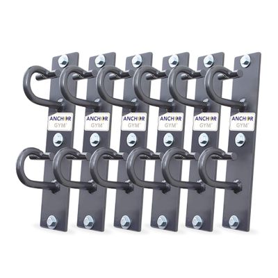 Anchor Gym Pro Station Resistance Band Hooks with 6 Units 12 Anchoring Points - Resistance Band Wall Mount for Home Fitness Gyms (Wood Mounting Screws Included)
