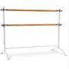 ElevFit Ballet Bar for Home Workout - Portable Ballet Barre for Home Adult Double Free Standing Ballet Barre Portable Barre Bar for Home Workout Ballet Bar Kids Dance Barre for Home view 1