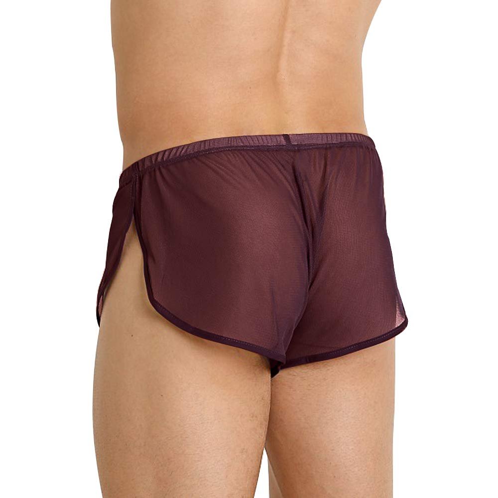 Mens Mesh Shorts See Through with Large Split Sides Sexy Sheer Boxers Underwear Coffee 2XL