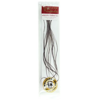 Whiting Farms 100's Saddle Hackle Pack (Dark Dun, 18)