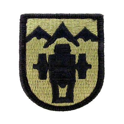 169th Field Artillery Brigade OCP Patch (Military Issued)-Veteran Owned Business
