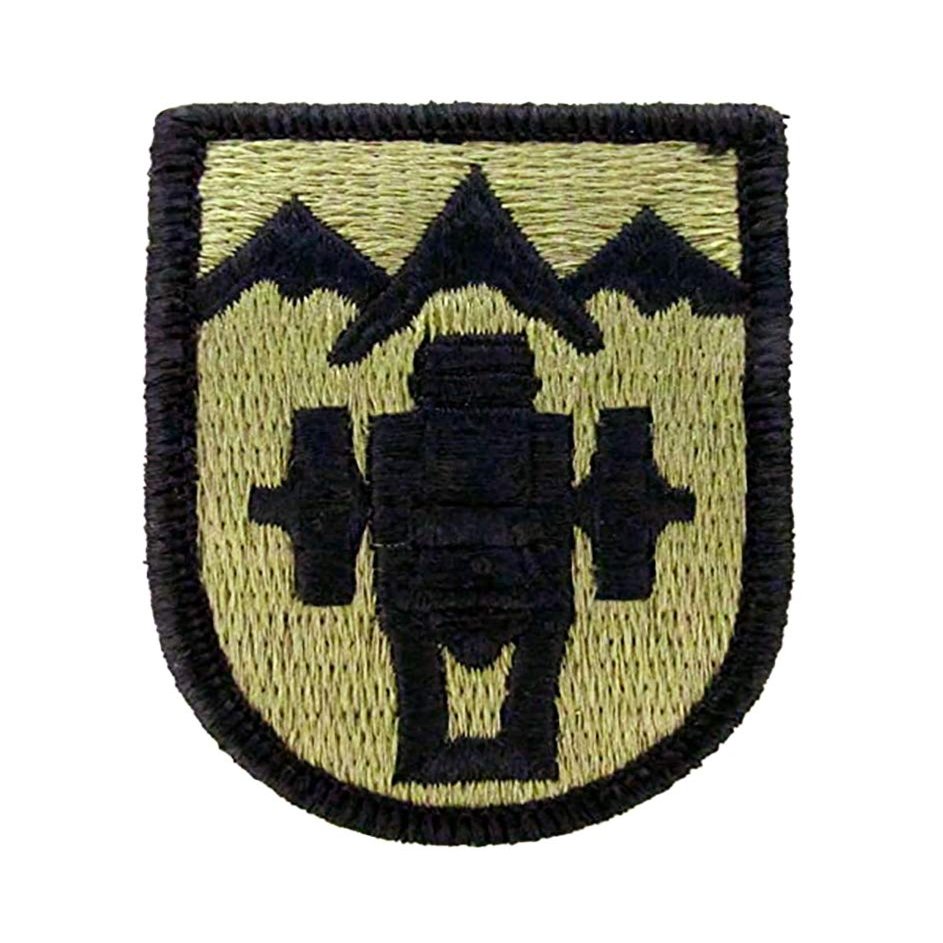 169th Field Artillery Brigade OCP Patch (Military Issued)-Veteran Owned Business