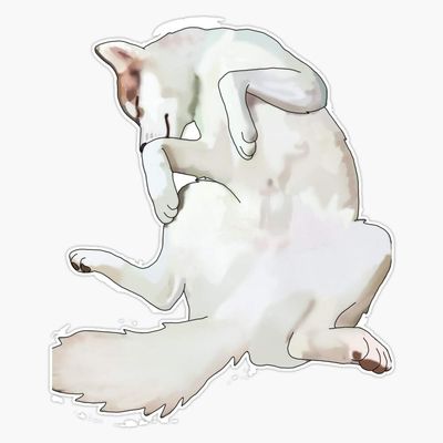Husky Belly Sticker Vinyl Waterproof Sticker Decal Car Laptop Wall Window Bumper Sticker 5"