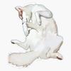 Husky Belly Sticker Vinyl Waterproof Sticker Decal Car Laptop Wall Window Bumper Sticker 5" view 1