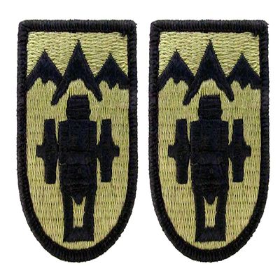 169th Field Artillery Brigade OCP Patch (Military Issued)-Veteran Owned Business-2 Pack