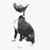 Pit Bull Dog Vinyl Waterproof Sticker Decal Car Laptop Wall Window Bumper Sticker 5" view 1
