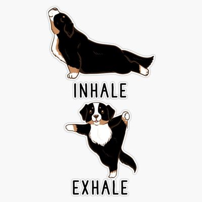 Inhale Exhale Bernese Mountain Dog Yoga Vinyl Waterproof Sticker Decal Car Laptop Wall Window Bumper Sticker 5"
