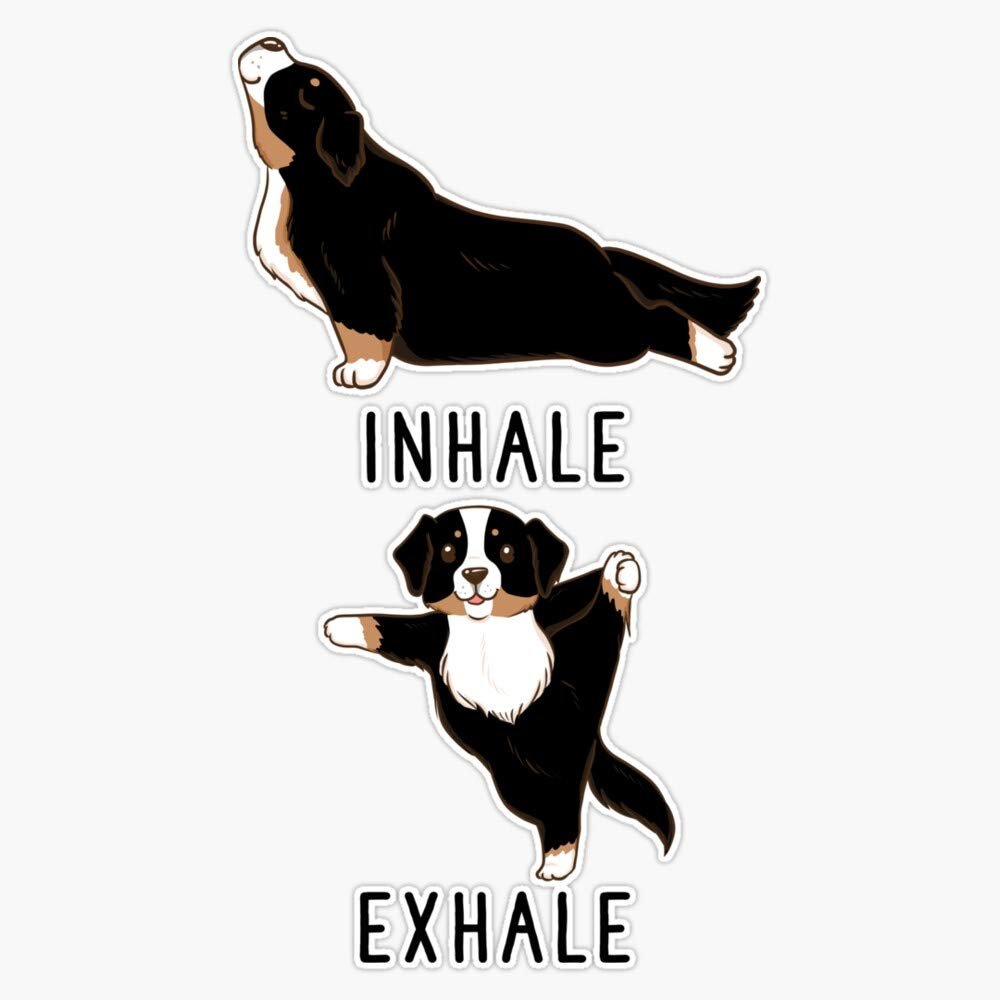 Inhale Exhale Bernese Mountain Dog Yoga Vinyl Waterproof Sticker Decal Car Laptop Wall Window Bumper Sticker 5"