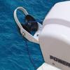 JZ 12V Electric AutoDepoly Anchor Winch for 45 lb. 20KG Anchor Saltwater Marine Pontoon Boat (KPR45SW WRC+SSK) view 2