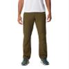Columbia Mens Silver Ridge Cargo Pants, Moisture Wicking, Sun Protection, New Olive, 44 view 1
