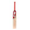 CW PACE Cricket Combo Set Kashmir Willow Cricket Bat SH with Hanging Ball for Practice view 4