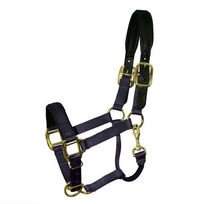 Intrepid International Halter Yearling 3-5 W/BLK Nose PAD Gun Metal Grey 3/4", Gun Metal Grey, Year/Pony