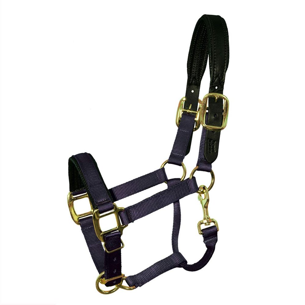 Intrepid International Halter Yearling 3-5 W/BLK Nose PAD Gun Metal Grey 3/4", Gun Metal Grey, Year/Pony