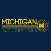 AH1251 - Michigan Wolverines Logo Ping Hoodie - Medium - Navy view 2