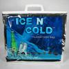 ICE N COLD Insulated Picnic/Shopping Cooler Bags (Pack of Ten) for Groceries, Camping, Hiking, Beach, Travel | Lightweight Soft Collapsible | Large Capacity Hold 35lbs view 1