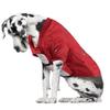 Littlearth NFL Tampa Bay Buccaneers Stretch Pet Jersey, Team Color, Big Dog view 3