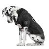 Littlearth NFL Las Vegas Raiders Stretch Pet Jersey, Team Color, Big Dog view 3