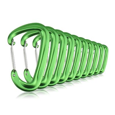 10 PCS D Ring Carabiner Clips,12KN Aluminium Alloy Carabiners Camping(Green)