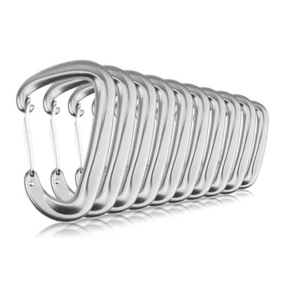 10 PCS D Ring Carabiner Clips,12KN Aluminium Alloy Carabiners Camping(Silver)