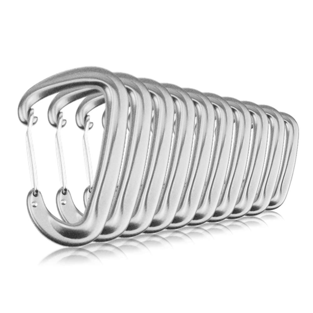 10 PCS D Ring Carabiner Clips,12KN Aluminium Alloy Carabiners Camping(Silver)