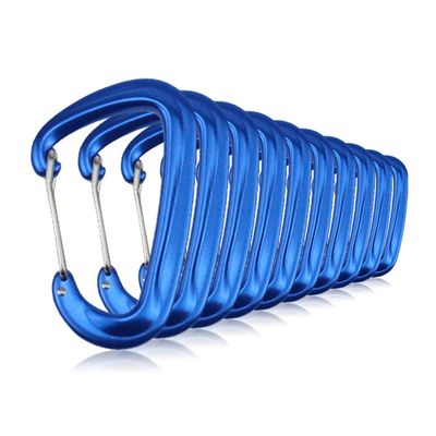 10 PCS D Ring Carabiner Clips,12KN Aluminium Alloy Carabiners Camping(Blue)