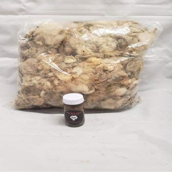 Southern Snares Trapping Raw Sheeps Wool and Free 1 oz Trapping Lure Great Sheeps Wool Odor