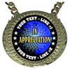 Express Medals Custom Appreciation Champ Chain Trophy with 2 Lines of Personalized Text on a Large Rigid Plastic Award Medal and 34 Inch Long Gold Color Neck Chain. FCL498 view 2