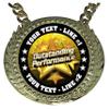 Express Medals Custom Outstanding Performer Champ Chain Trophy with 2 Lines of Personalized Text on a Large Rigid Plastic Award Medal and 34 Inch Long Gold Color Neck Chain. FCL519 view 2