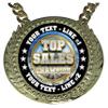 Express Medals Custom Topsales Champ Chain Trophy with 2 Lines of Personalized Text on a Large Rigid Plastic Award Medal and 34 Inch Long Gold Color Neck Chain. Topsales view 2