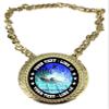 Express Medals Custom Swimming Swimmer Champ Chain Trophy with 2 Lines of Personalized Text on a Large Rigid Plastic Award Medal and 34 Inch Long Gold Color Neck Chain. FCL560 view 1