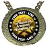 Express Medals Custom Academic Excellence Champ Chain Trophy with 2 Lines of Personalized Text on a Large Rigid Plastic Award Medal and 34 Inch Long Gold Color Neck Chain. FCL401 view 2
