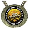 Express Medals Custom Star Performer Champ Chain Trophy with 2 Lines of Personalized Text on a Large Rigid Plastic Award Medal and 34 Inch Long Gold Color Neck Chain. FCL551 view 2