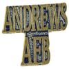 Andrews AFB LAPEL PIN OR HAT PIN - Size 1" - VETERAN OWNED BUSINESS view 1